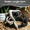 Snake Jungle Gym for Small to Medium Snakes, Medium Reptile