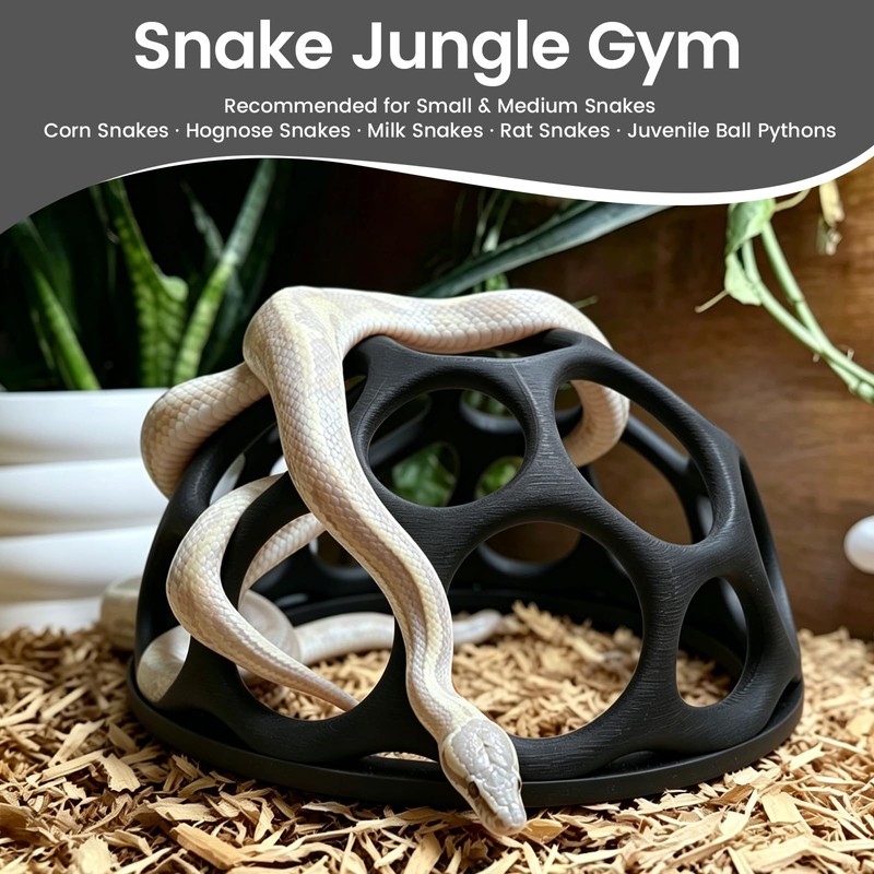 Snake Jungle Gym for Small to Medium Snakes, Medium Reptile