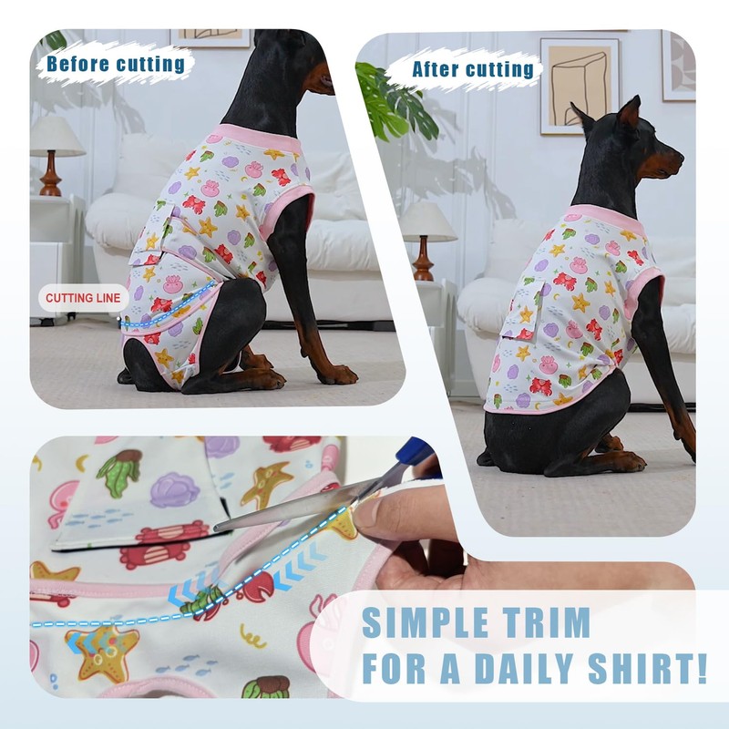 Abuandi Traje de recuperación para Perro, Talla XS HT
