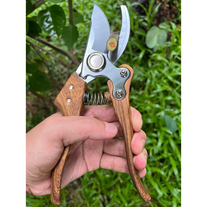 Pruning Shears, Flower Cutters for Stems, German Stainless Steel Blades,