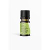 Nature's Basket Peppermint Essential Oil - 15 Ml