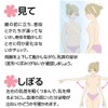 大木製薬 乳房自己触診補助具 ママリーチェッカーN 1枚
