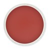 PanPastel Ultra Soft Artist Pastel, Permanent Red Shade