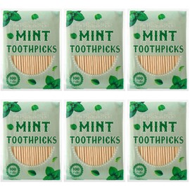 600 Pcs Mint Toothpicks Bulk Flavor Menthol Toothpicks Wood Flavored Toothpicks for Adults Natural Wooden Tooth Pick for Humans Teeth Oral Dental Health