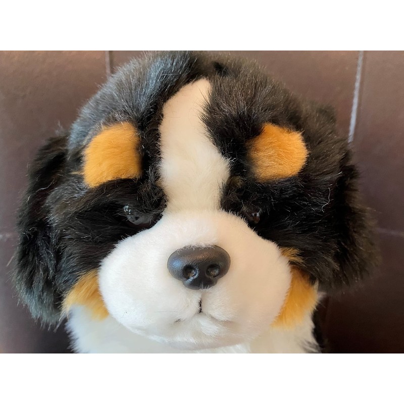 Bernese Puppy Companion