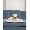 Dog Gone Smart Sleeper Cushion, Small, Espresso