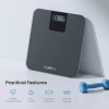 RENPHO Digital Body Weight Scale Highly Accurate Scale for Weight