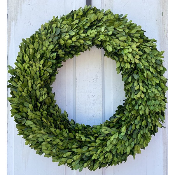 20" Diameter Round Real Preserved Boxwood Wreath-Natural