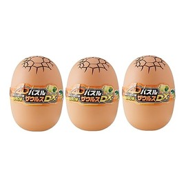 4d Puzzle The Future DX