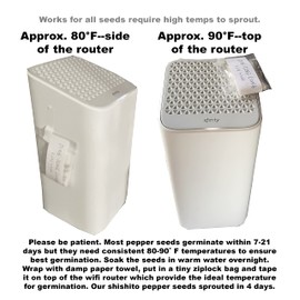 40ct Sweet Pepper Seeds for Planting,Green & Red Bell Pepper,Non-GMO Heirloom Seed Vegetable Seeds for Home Vegetable Garden&Hydronic Pods-Veggie Seeds:California Wonder