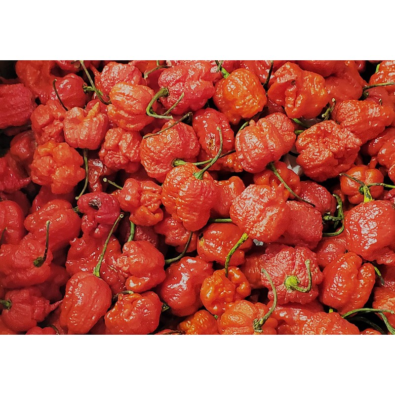 Dragons Breath 5+ Dried Peppers