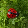 CGB Giftware Glass Ladybird | Collectable Ornament | Decorative |