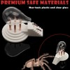 Spider Ant Water Feeder, Creative Altar Shape 3D Printed Waterer