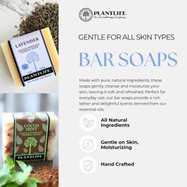 Plantlife Loofah Love Bar Soap - Moisturizing and Soothing Soap for Your Skin - Hand Crafted Using Plant-Based Ingredients - Made in California 4 oz Bar