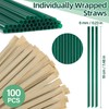 Sukh 100 Pcs Individually Wrapped Straws - Green Plastic Straws