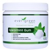 Evergreen Sweets Chewing gum -100 Pieces Jar - Natural Spearmint