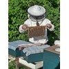 ImkerPur Organic Flower Pollen 200 g in Premium Beekeeper Quality