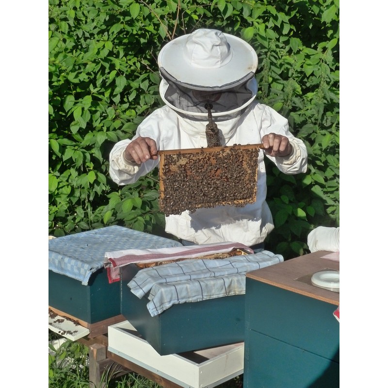 ImkerPur Organic Flower Pollen 200 g in Premium Beekeeper Quality