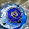 9 Year Sobriety Coin | Legacy AA Chip | Thick