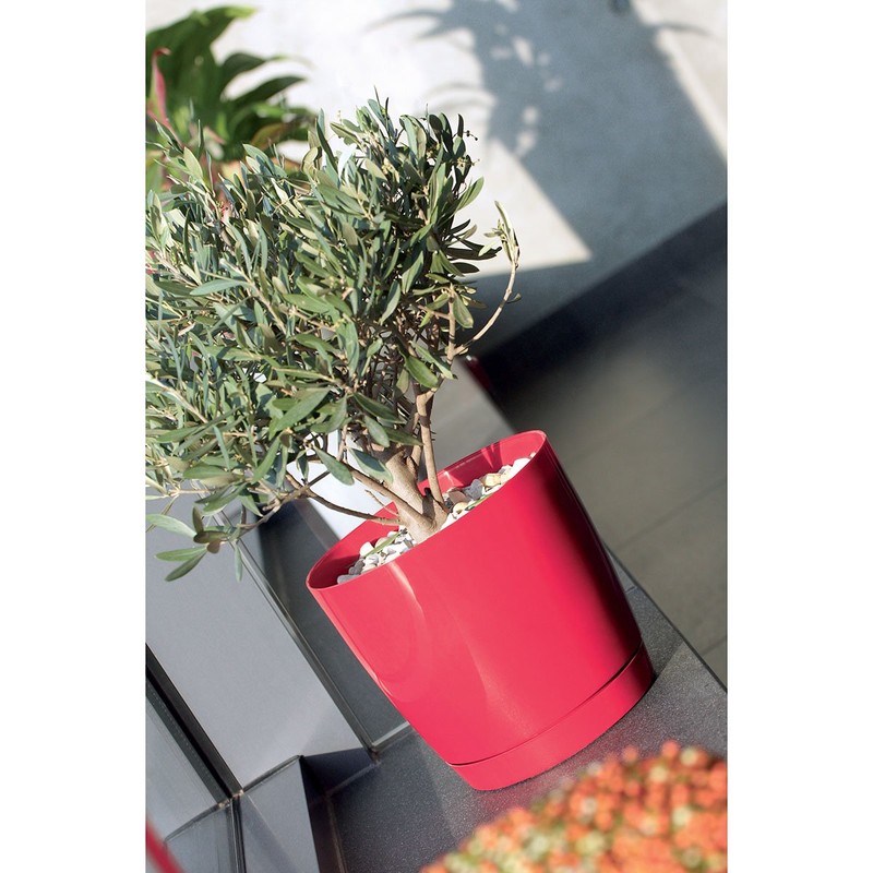 Prosper Plast DUOP100-426U 10 x 9.2 cm Coubi Flowerpot -