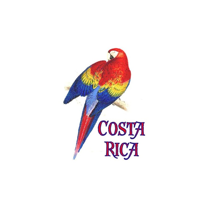 CafePress COSTA RICA II Rectangle Magnet, 3"x2" Refrigerator Magnet