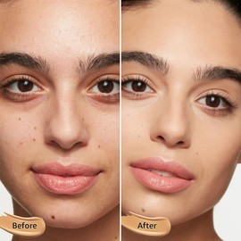 Mushroom Head Air Cushion CC Cream Foundation Moisture Cushion CC Cream for Mature Skin, Waterproof Full Coverage Self Adjusting Concealer (Natural)