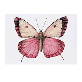 'Pink Butterfly' Temporary Tattoo - Water Resistant, Skin-Safe, Non-Toxic Transfer (TO00077115)