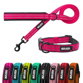 azuza Reflective Padded Dog Leash and Collar Set, Durable Extra Safe and Comfy for Medium and Large Dogs