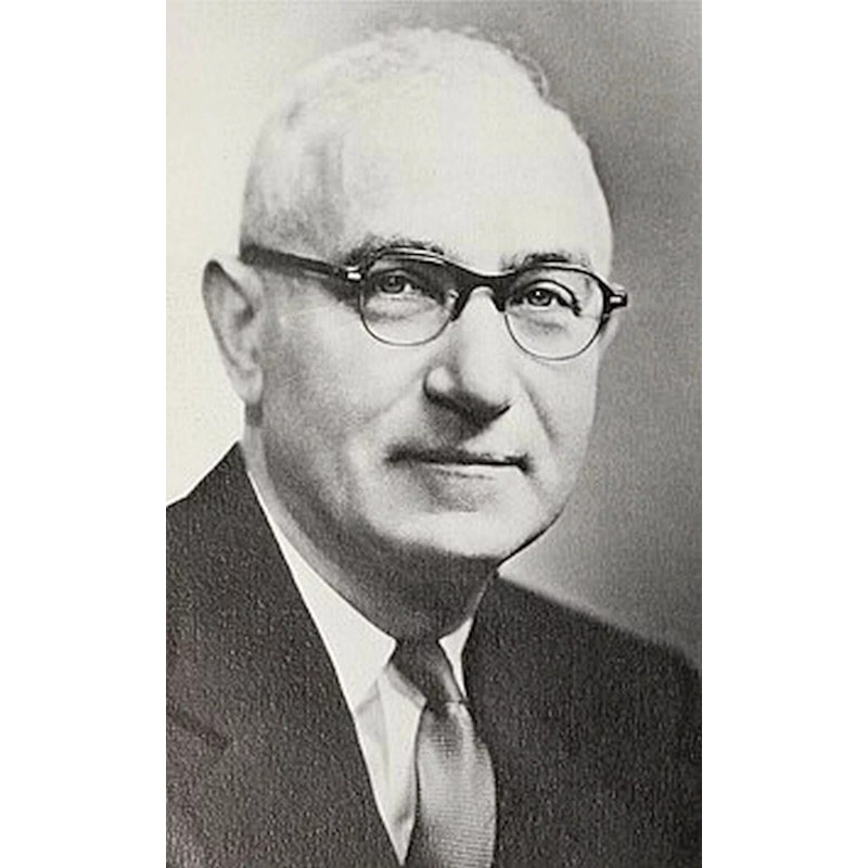 LESTOIL Heavy Duty multi purpose CLEANER concrete 1-5% Real PINE