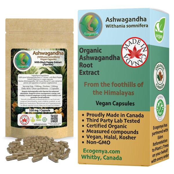 NEW Ashwagandha Extract Capsules 10% Withanolides – Ecogenya Organic 5:1