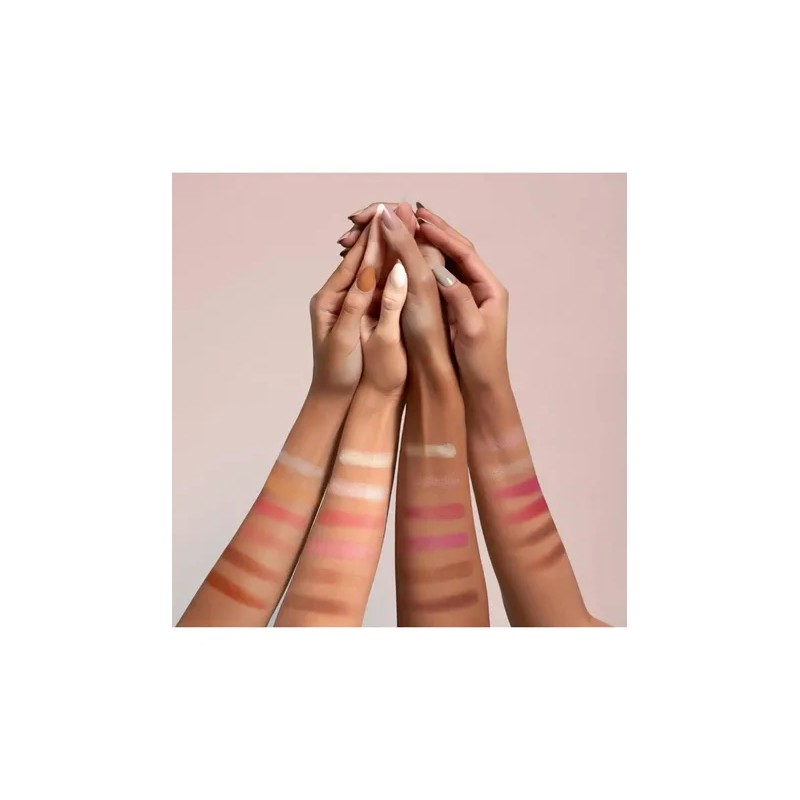 Paletas Para Rostro Bissu Rubores E Iluminadores Maquillaje