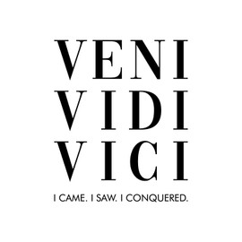 Vinyl Wall Art Decal - Veni Vidi Vici - Julio Cesar - 20.5" x 17" - Trendy Inspirational Positive Self Esteem Quote Sticker for Office Conference Room Business Store Gym Fitness Coffee Shop Decor