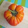 Colourful old tomato varieties - seeds set with 5 traditional,