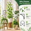 Metal Plant Trellis for Climbing Plants – Decorative Garden Stake