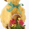 Primitives by Kathy Collectible Spring Ducks Critter Set