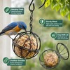 4-Pack Metal Bird Feeder for Garden Feeding – Hanging Suet