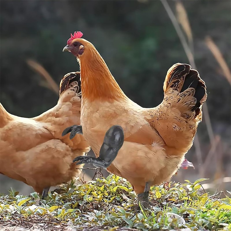 CATOR Strong Combat Chicken Arms - schelmisches Hühnerarmspielzeug - Lustiges