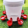 Automatic Feeder and Waterer Set for Chickens Ducks Small Animals,