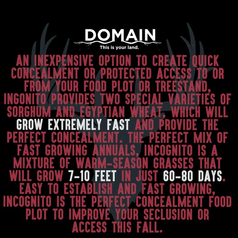 Domain Outdoor Incognito Deer Plot Seed, 1/4 Acre, Create Concealment