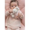 [Dadway] [Miffy x Little Dutch] Ring Rattle Lucky Blossom F