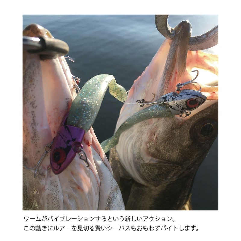 Coreman VJ-22 Vibration Jig Head #041 Silver Head/Shallow Bait