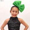 DF Gallery Dance Costume Accessory Solid Ribbon Headband S212AN2 Free