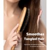 BLACK EGG Boar Bristle Brush for Wet/Dry Hair - Smoothing,