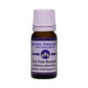Essential Therapeutics Tea Tree 'Ecowild' Organic Essential Oil 10 ml