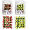 Cayway 2 Colour Flower Grass Tufts Sand Table Set Flower