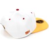 Big Boy Bethune-Cookman Wildcats S145 Mens Snapback Cap [White -