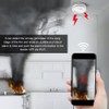 WIFI Standalone APP Smoke Alarm Photoelectric Sensor Gas Detector Voice