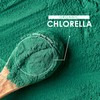 Organic Chlorella 2000mg – 300 Vegan Tablets – Broken Cell