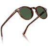 CARFIA Vintage Polarized Sunglasses for Men UV400 Protection Hand-polished Acetate