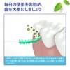 DXTECHPRO Interdental Brush, Interdental Cleaning, Carrying Case, Extra Fine, Kanbushi,